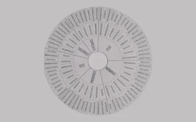 Intelligenza emotiva: riconoscere e gestire le emozioni